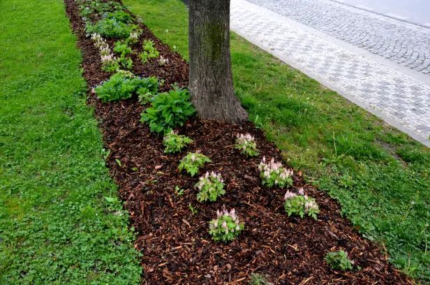 Common Mulching Mistakes And How To Avoid Them Vineland, NJ 08361