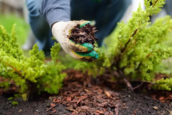Common Mulching Mistakes And How To Avoid Them in Vineland, NJ 08361