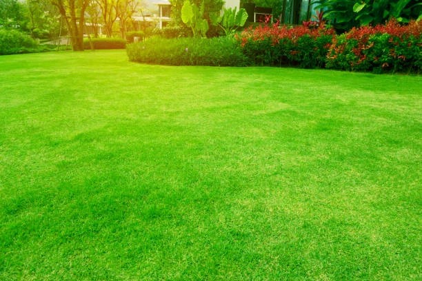 Excellent Lawn Maintenance in Vineland, NJ 08361 Excellent Lawn Maintenance in Vineland, NJ 08361