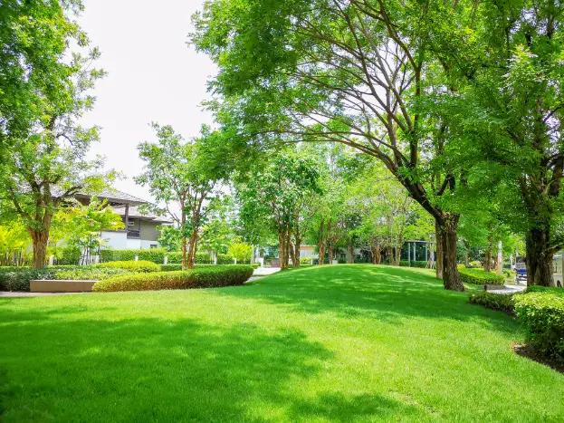 How Lawn Maintenance Prevents Weed Growth And Soil Erosion Vineland, NJ 08361 How Lawn Maintenance Prevents Weed Growth And Soil Erosion Vineland, NJ 08361