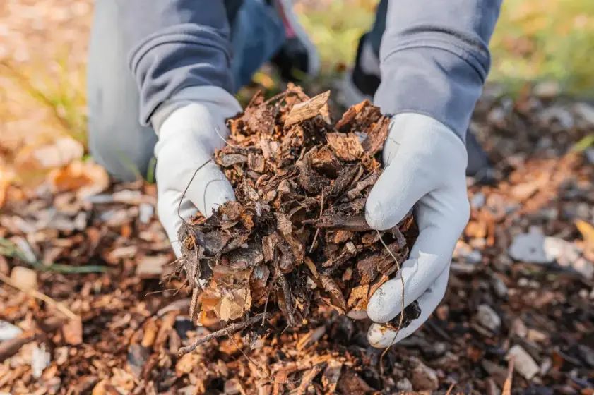 How Mulching Enhances Soil Health And Plant Growth Vineland, NJ 08361