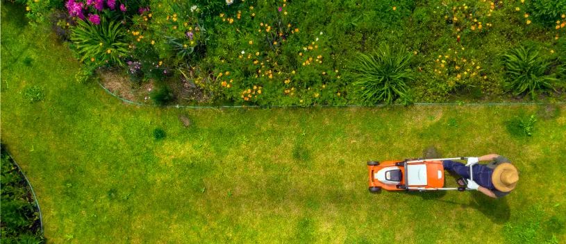 How Professional Lawn Maintenance Saves Time And Effort Vineland, NJ 08361