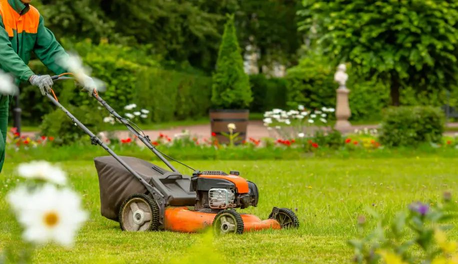 Professional Lawn Maintenance in Vineland, NJ 08361 Professional Lawn Maintenance in Vineland, NJ 08361