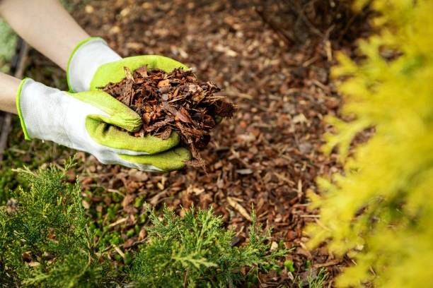 Top-rated Mulching in Vineland, NJ 08361